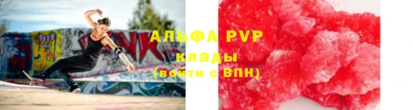 ПСИЛОЦИБИНОВЫЕ ГРИБЫ Арсеньев
