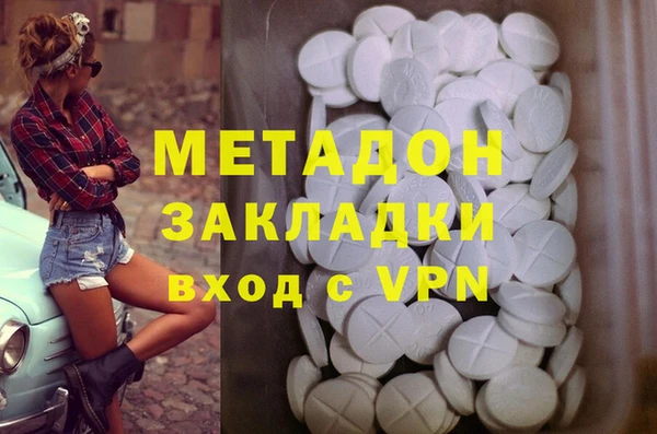 ПСИЛОЦИБИНОВЫЕ ГРИБЫ Арсеньев