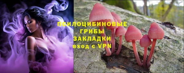 ПСИЛОЦИБИНОВЫЕ ГРИБЫ Арсеньев